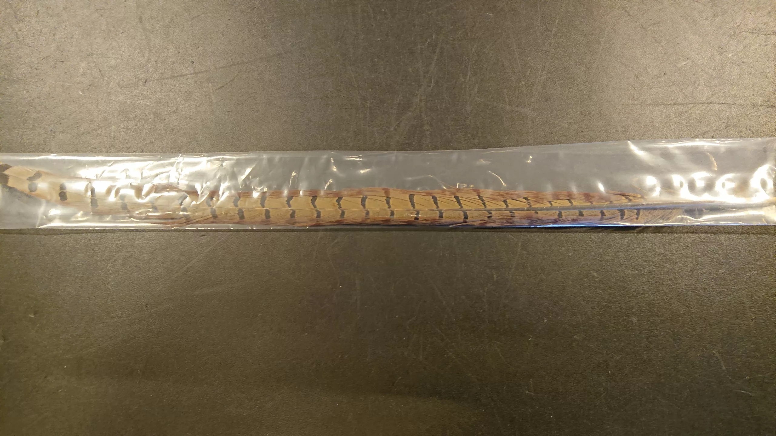 Cock Pheasant Center Tail 3 Cock Pheasant Center Tail