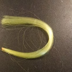 Tail Fiber