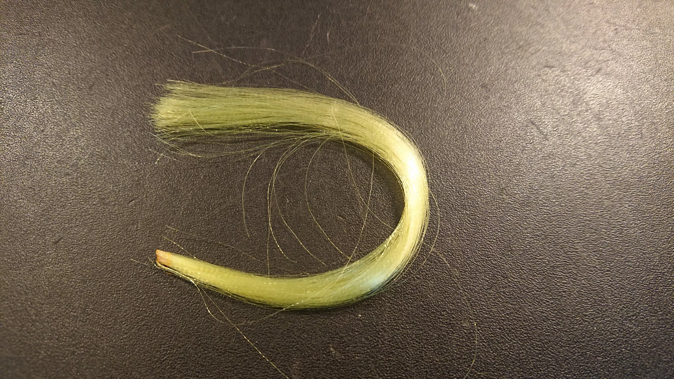 Tail Fiber 3 Tail Fiber