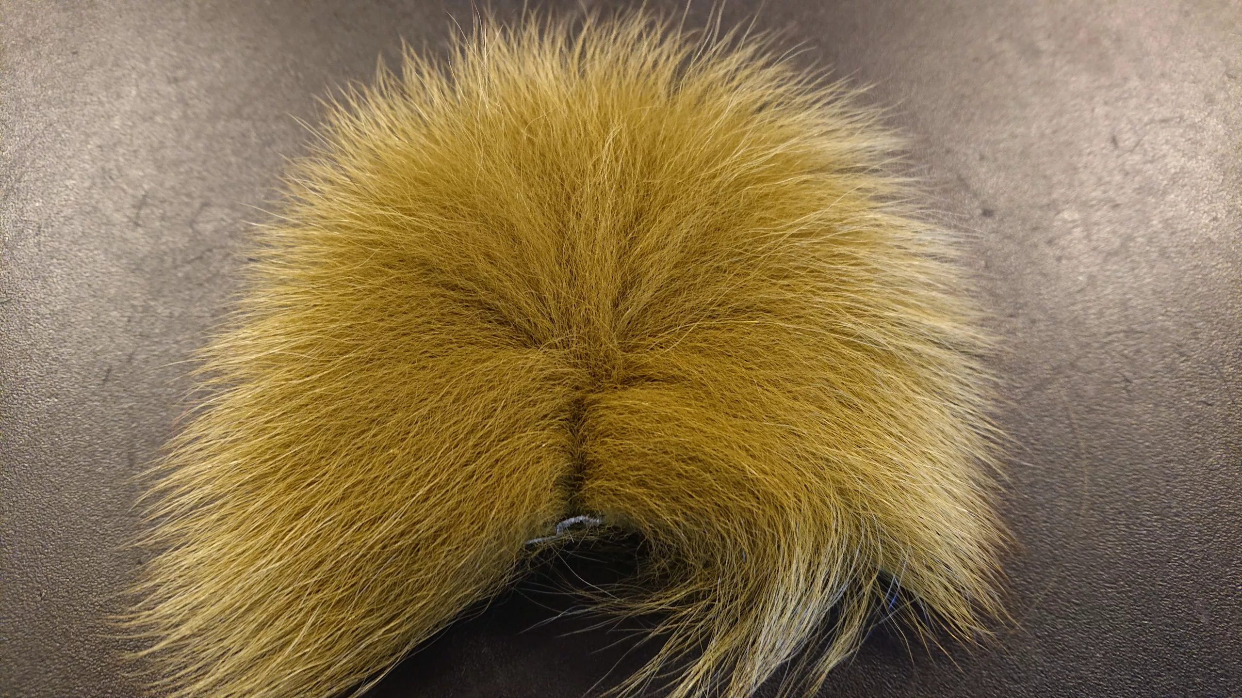 Cross Breed Fox Tail 3 Cross Breed Fox Tail