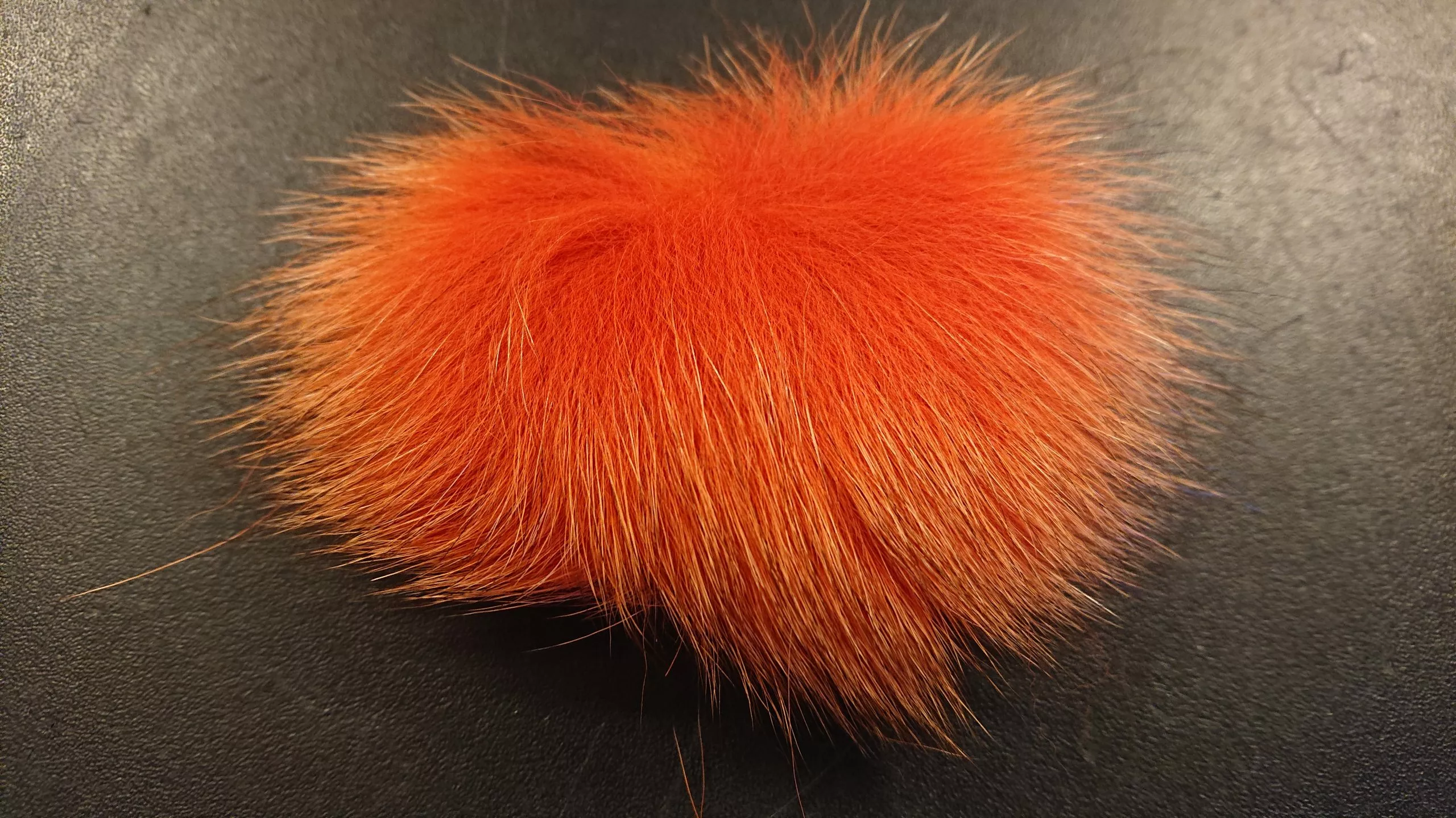 Cross Breed Fox Tail 4 Cross Breed Fox Tail - Bilde 2