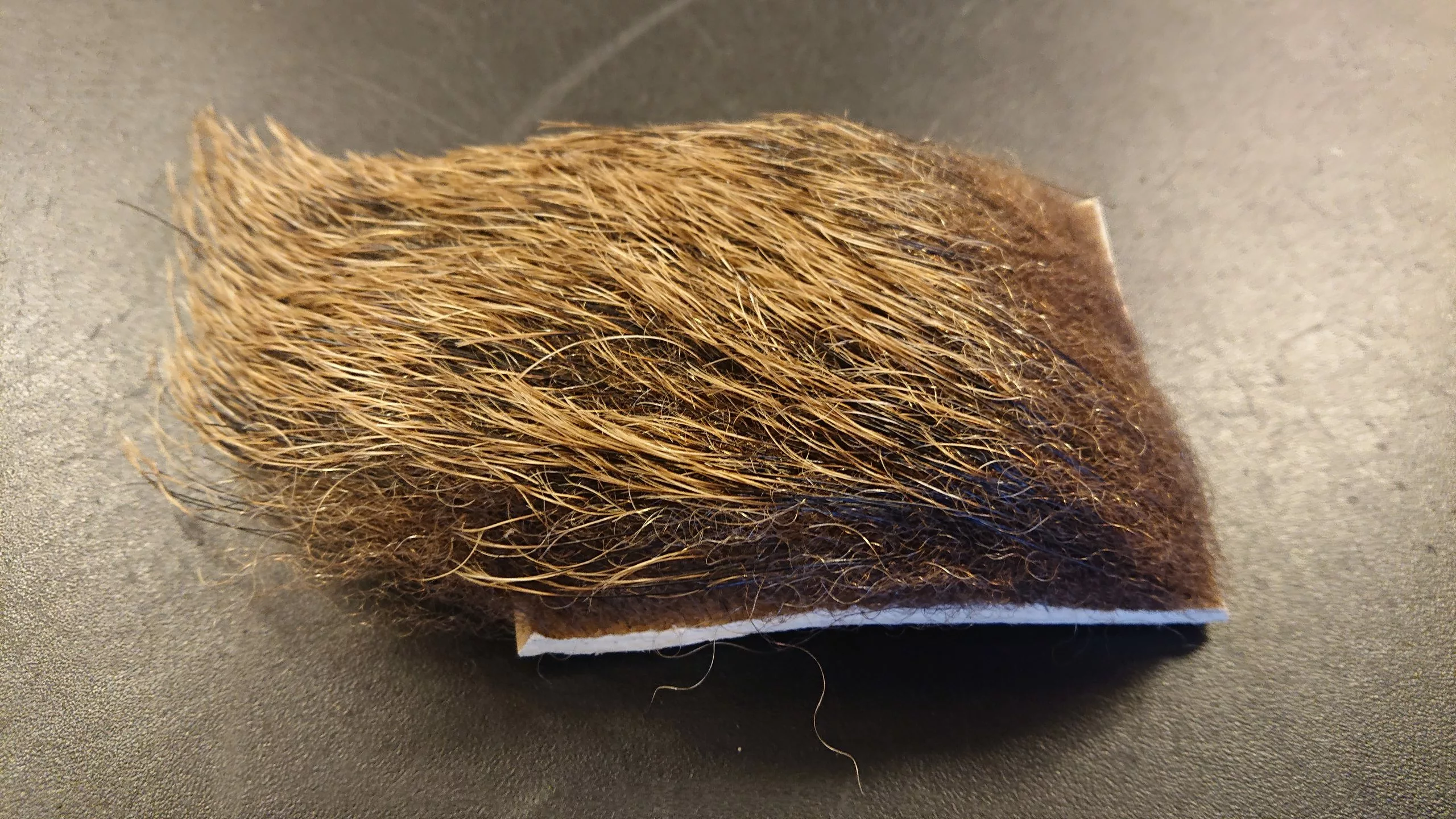 Wild Boar 3 Wild Boar