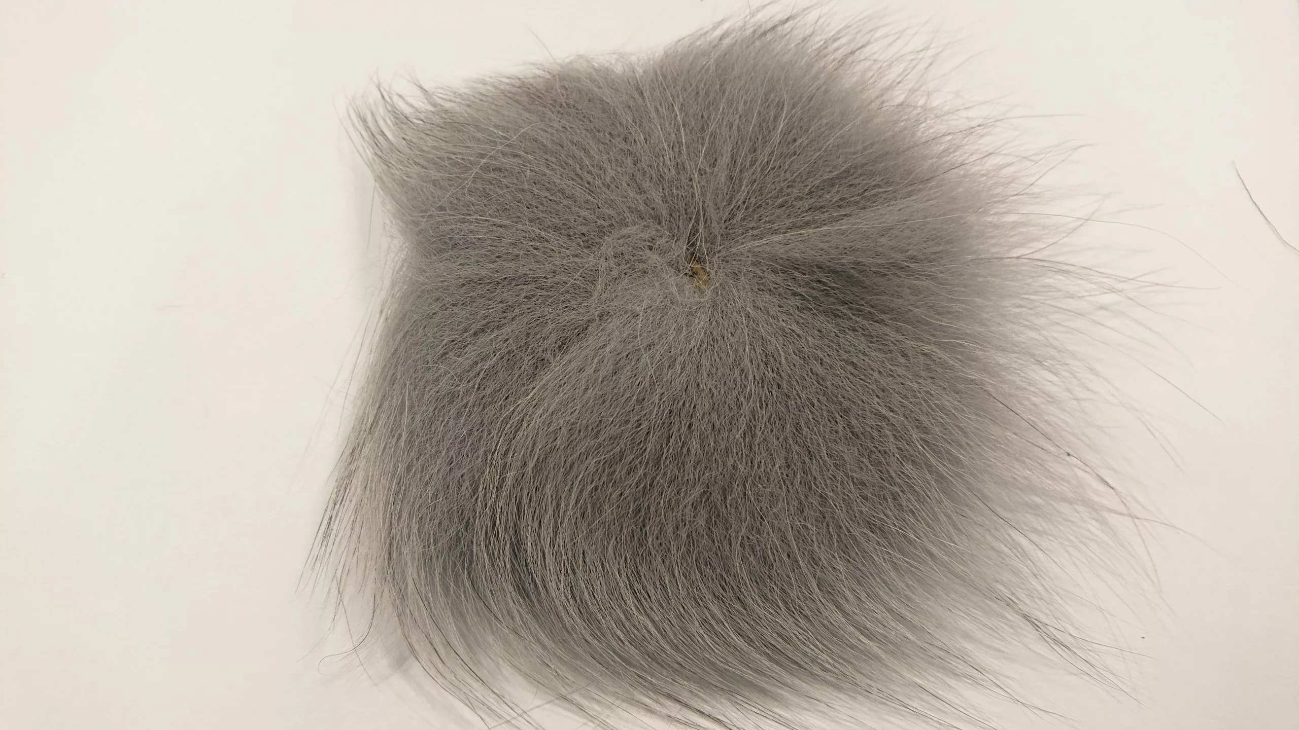 FF Marble Fox – Grey 3 FF Marble Fox – Grey