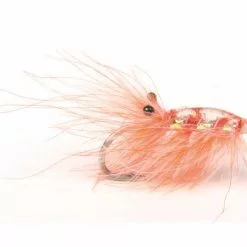 Runars CDC Reke – Orange #6