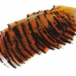 Golden Phesant Tippet