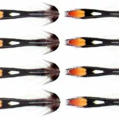 Jungle Cock Sub. Natural