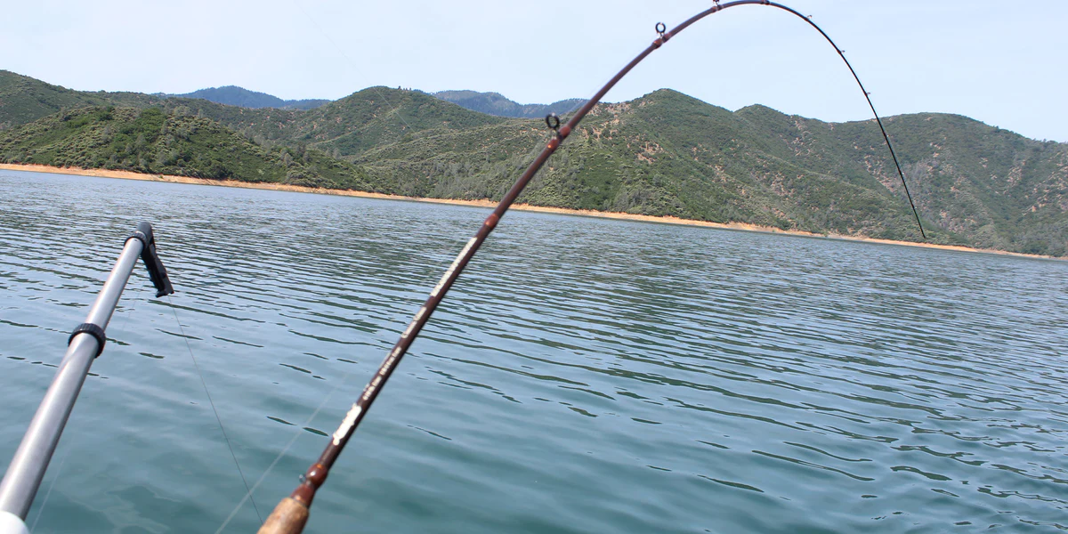 Fluefiske Salg -Fluefiske Salg 3